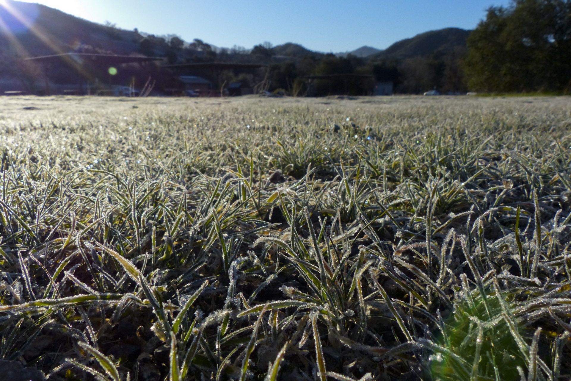 frost morning sunlight free photo