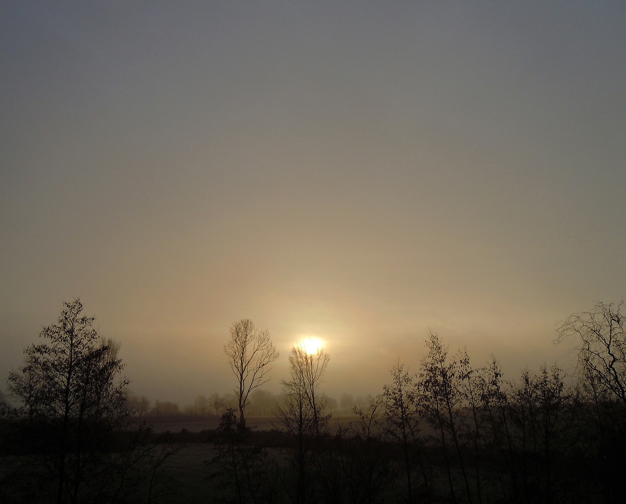 morning haze back light sunrise free photo