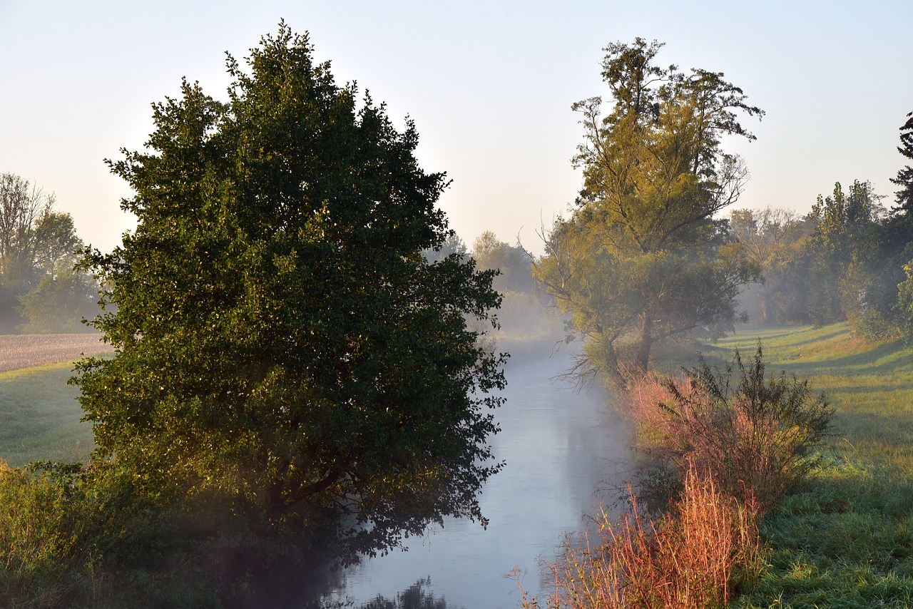 morning haze  autumn  nature free photo