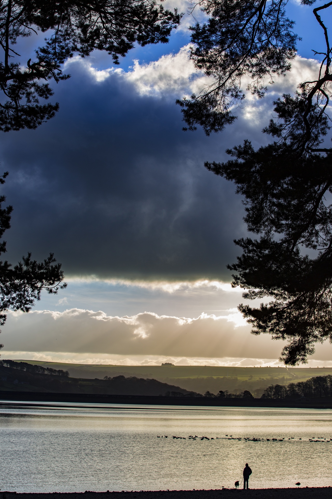 lake landscape silhouette free photo