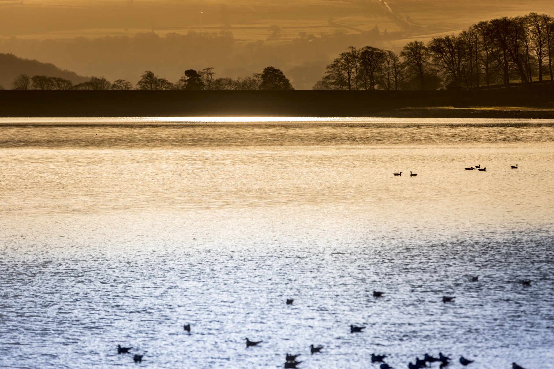 morning silhouette water free photo