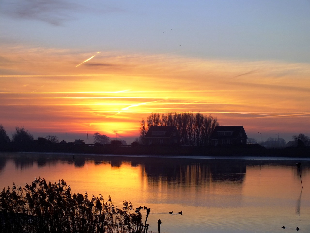 morning light ijssel water free photo