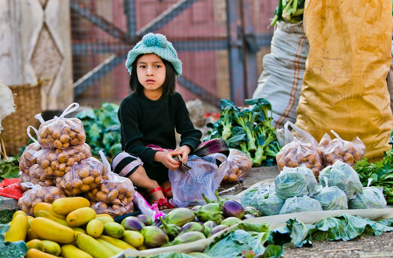 morning market child selling myanmar free photo