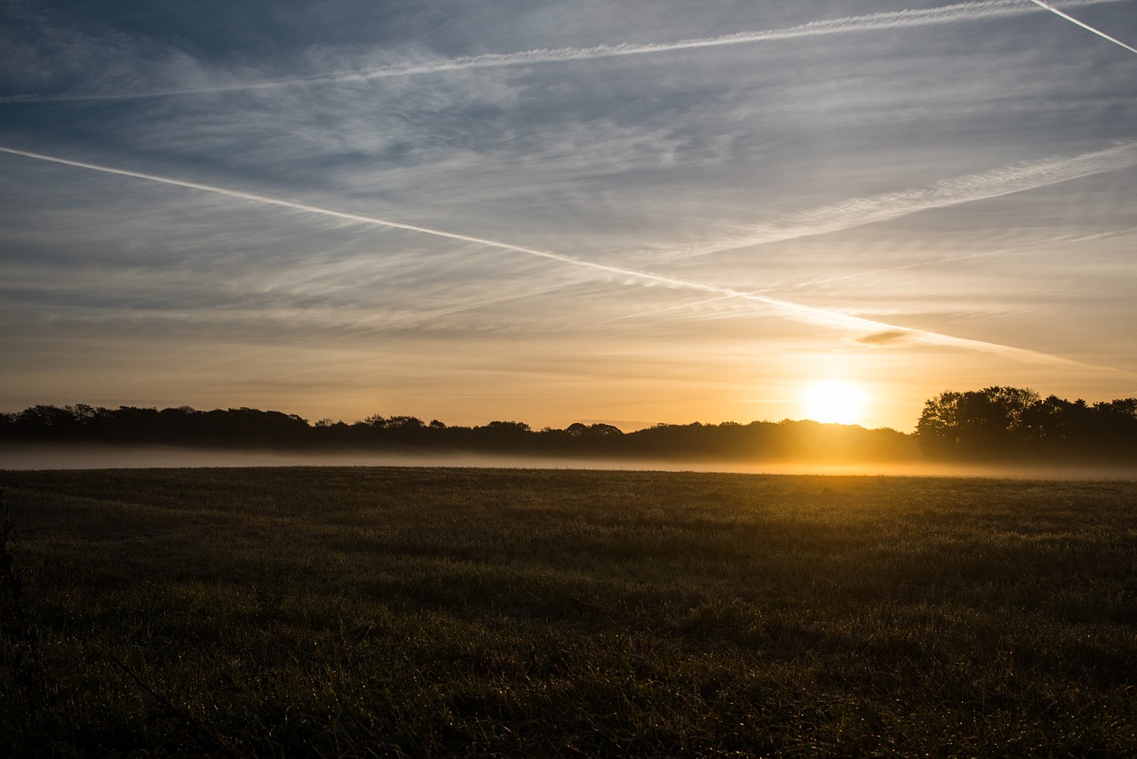 fog sunrise morning mist free photo