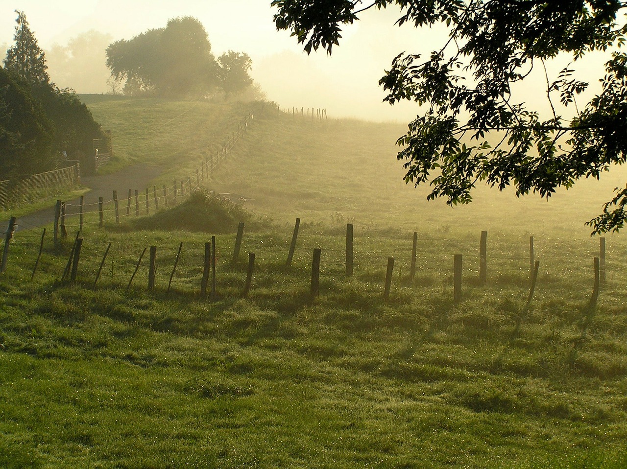 morning mist france landscape free photo