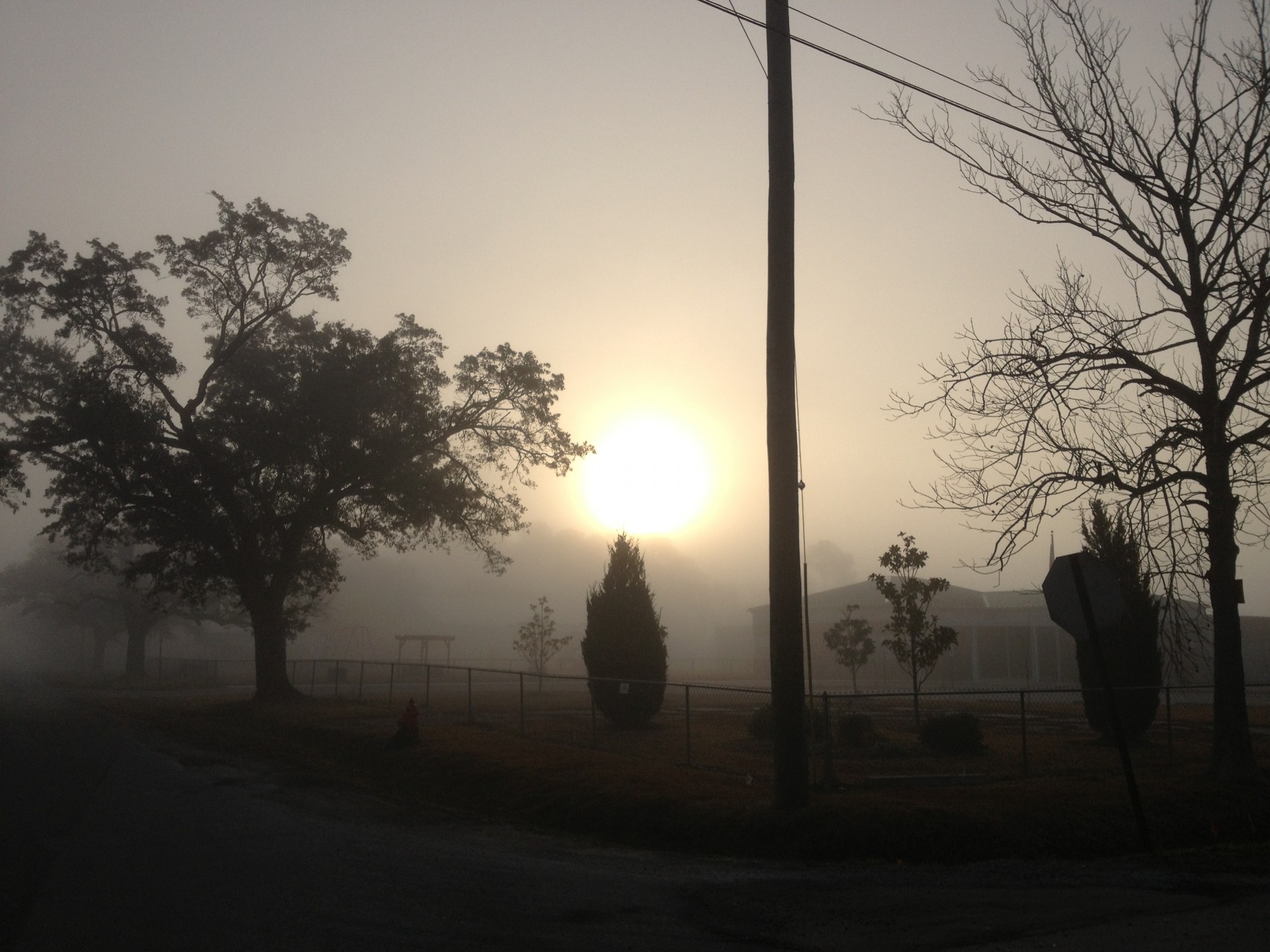 mist fog landscape free photo