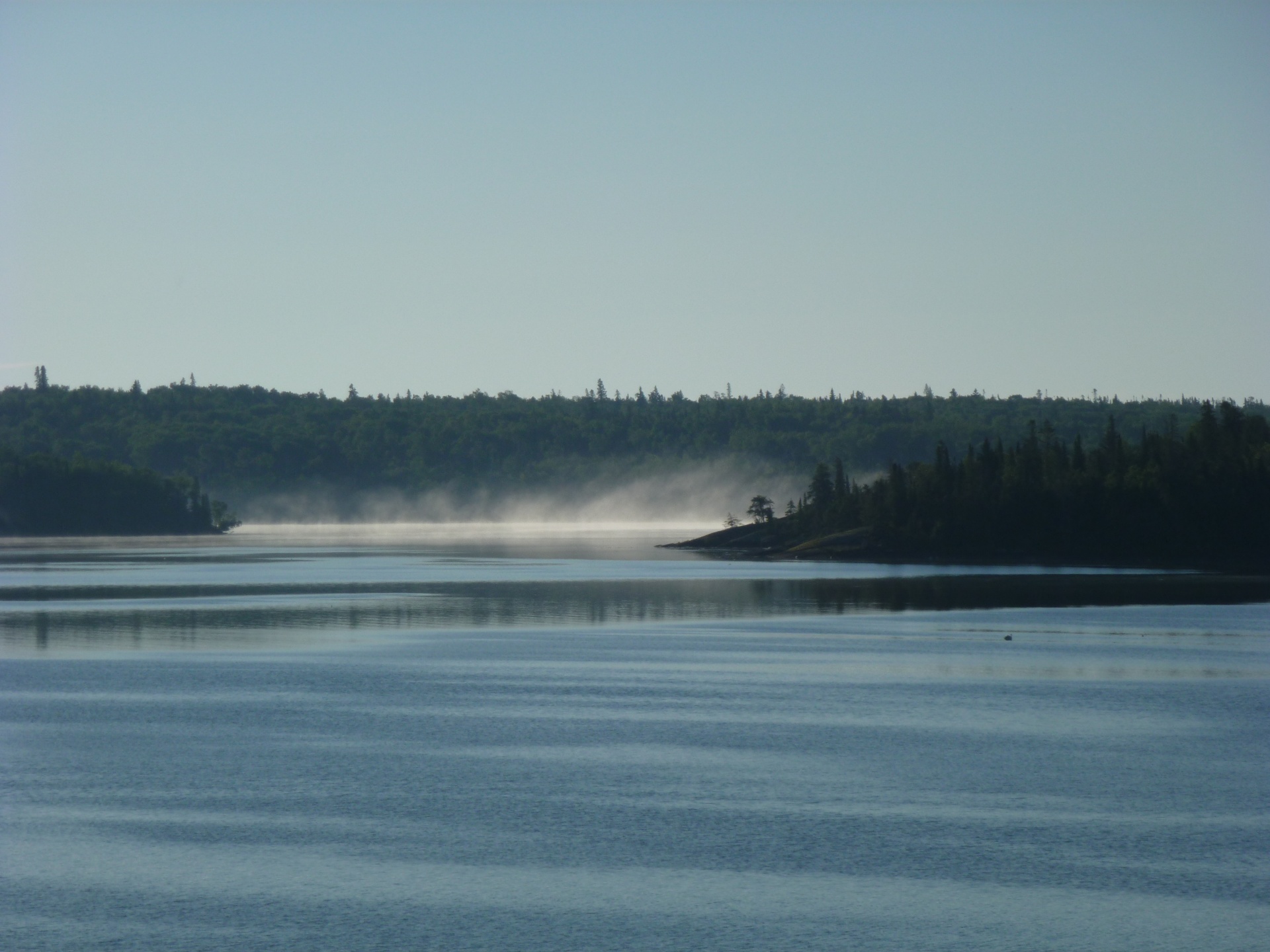 misty lake morning mist free photo