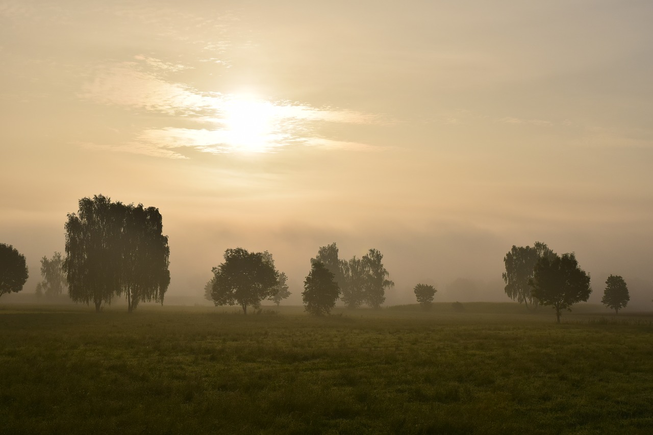 morning mist fog landscape free photo