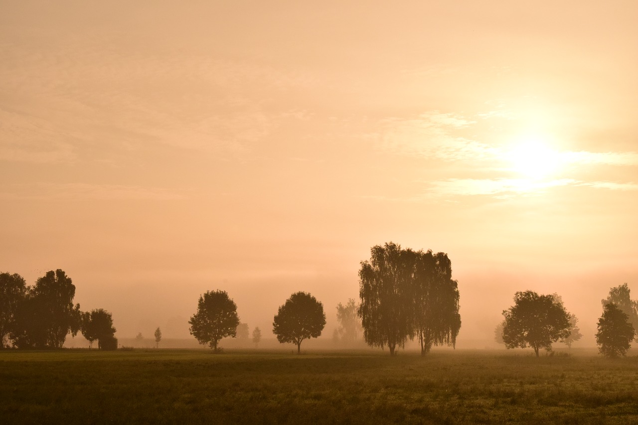 morning mist fog landscape free photo