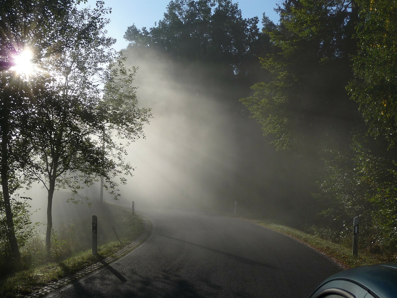 morning mist landscape fog free photo