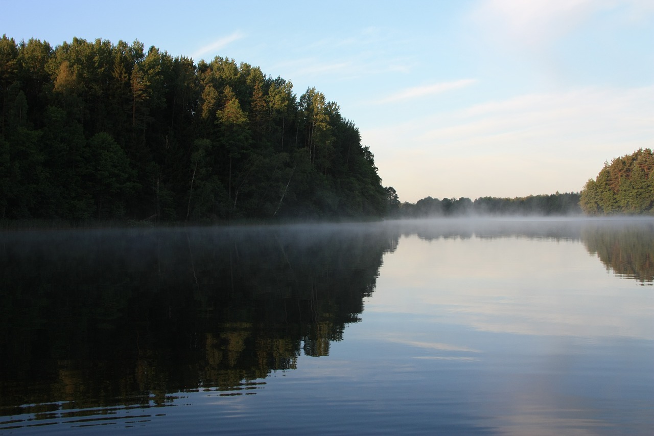 morning mist lake morning free photo