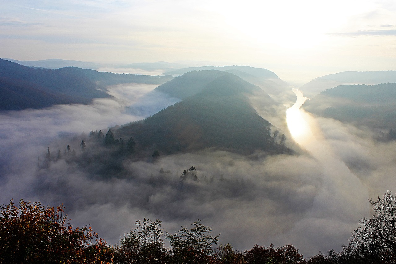 morning mist river landscape saar loop free photo