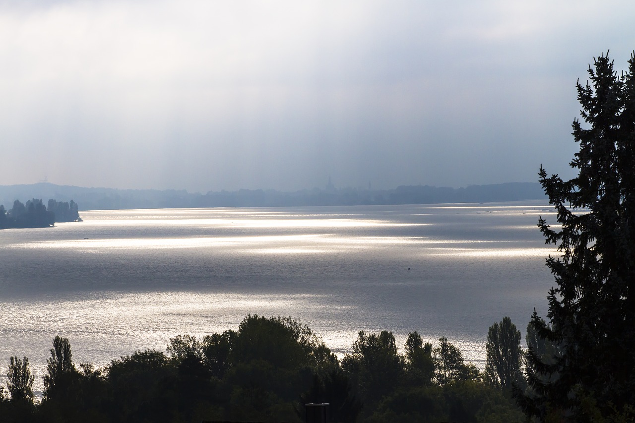 morning mist lake constance reflection free photo