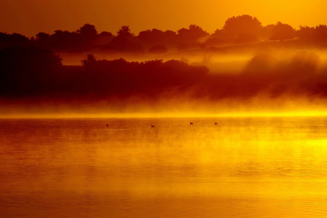 morning mist  sea  dawn free photo