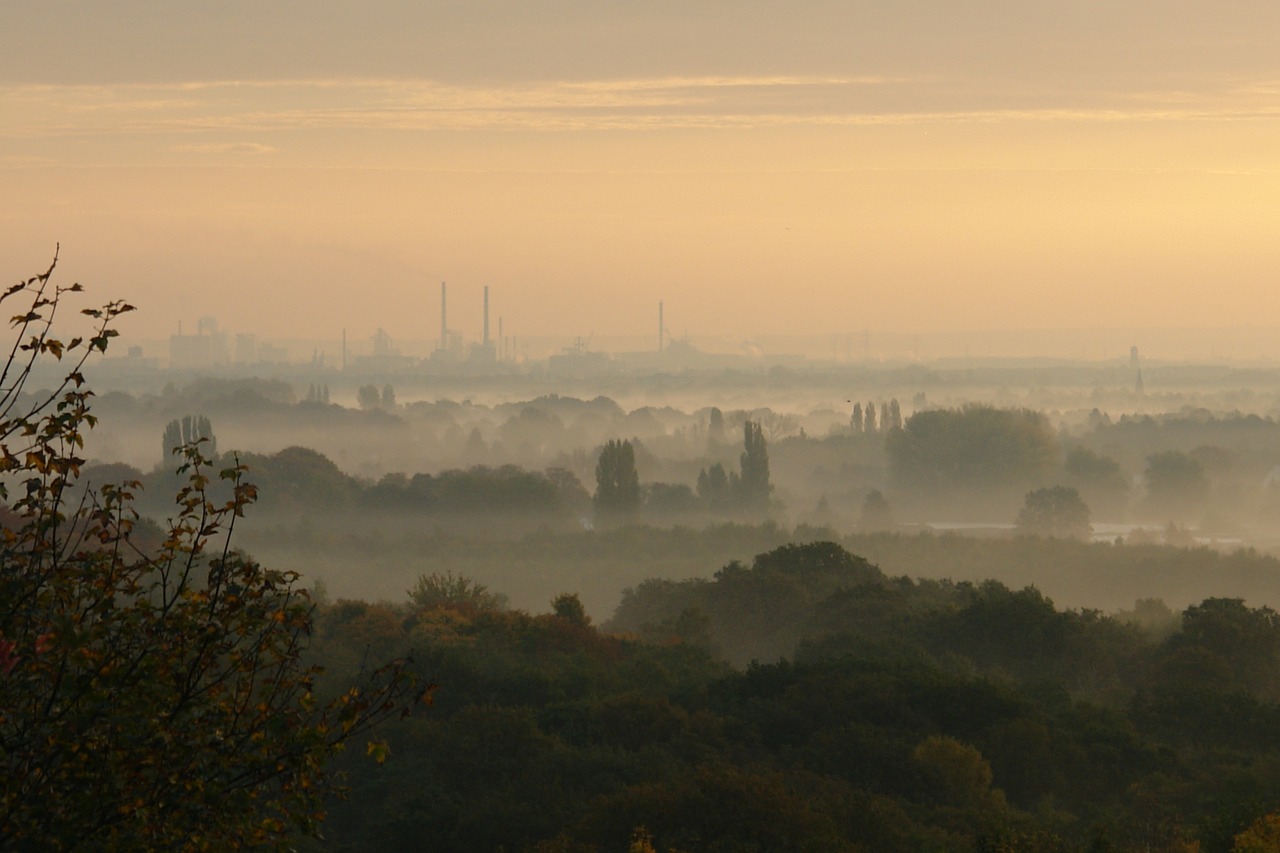 morning mist autumn october free photo