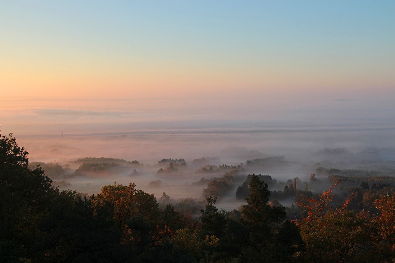 morning mood autumn morning morning mist fog free photo