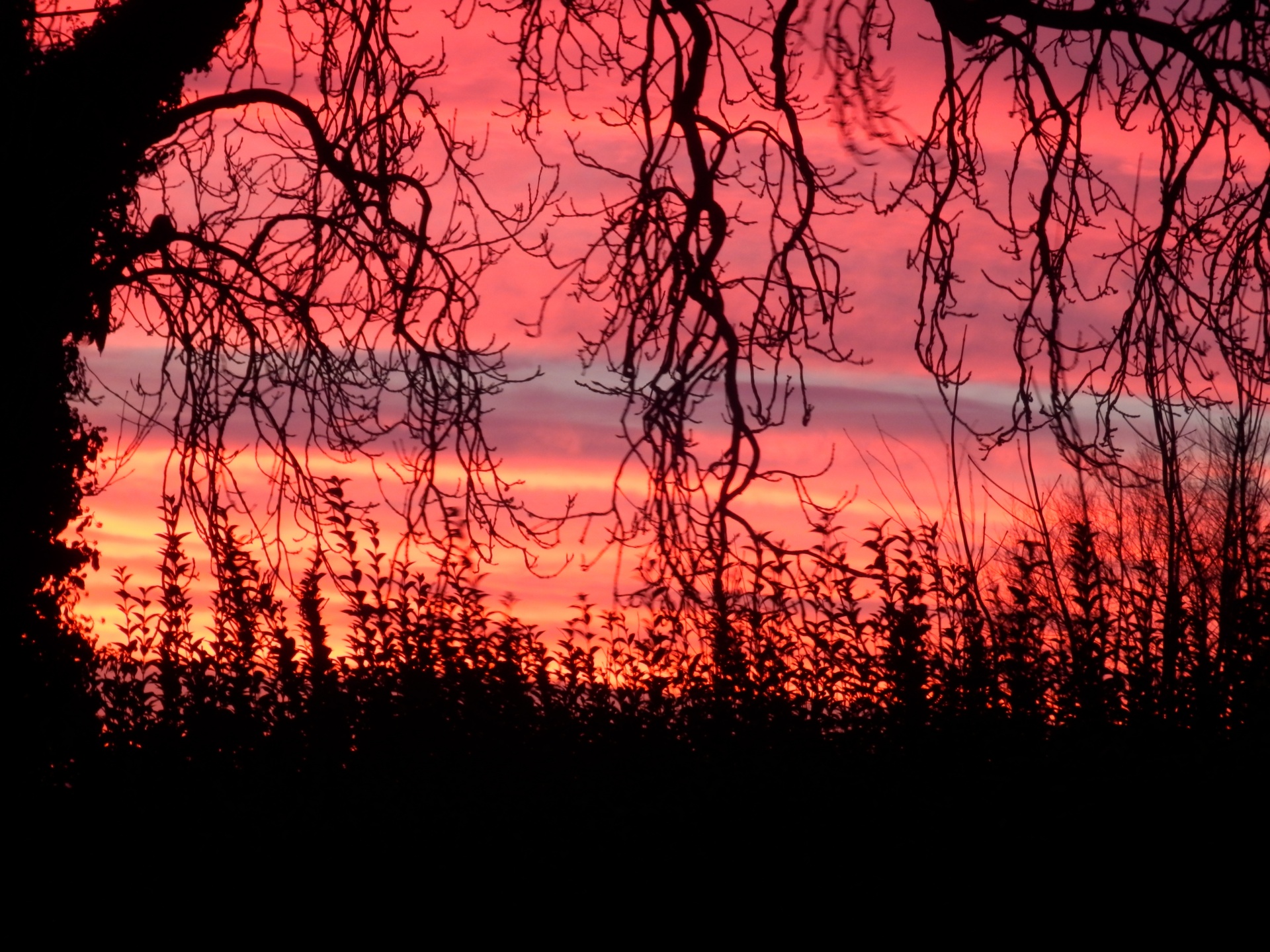 sunrise dawn silhouette free photo