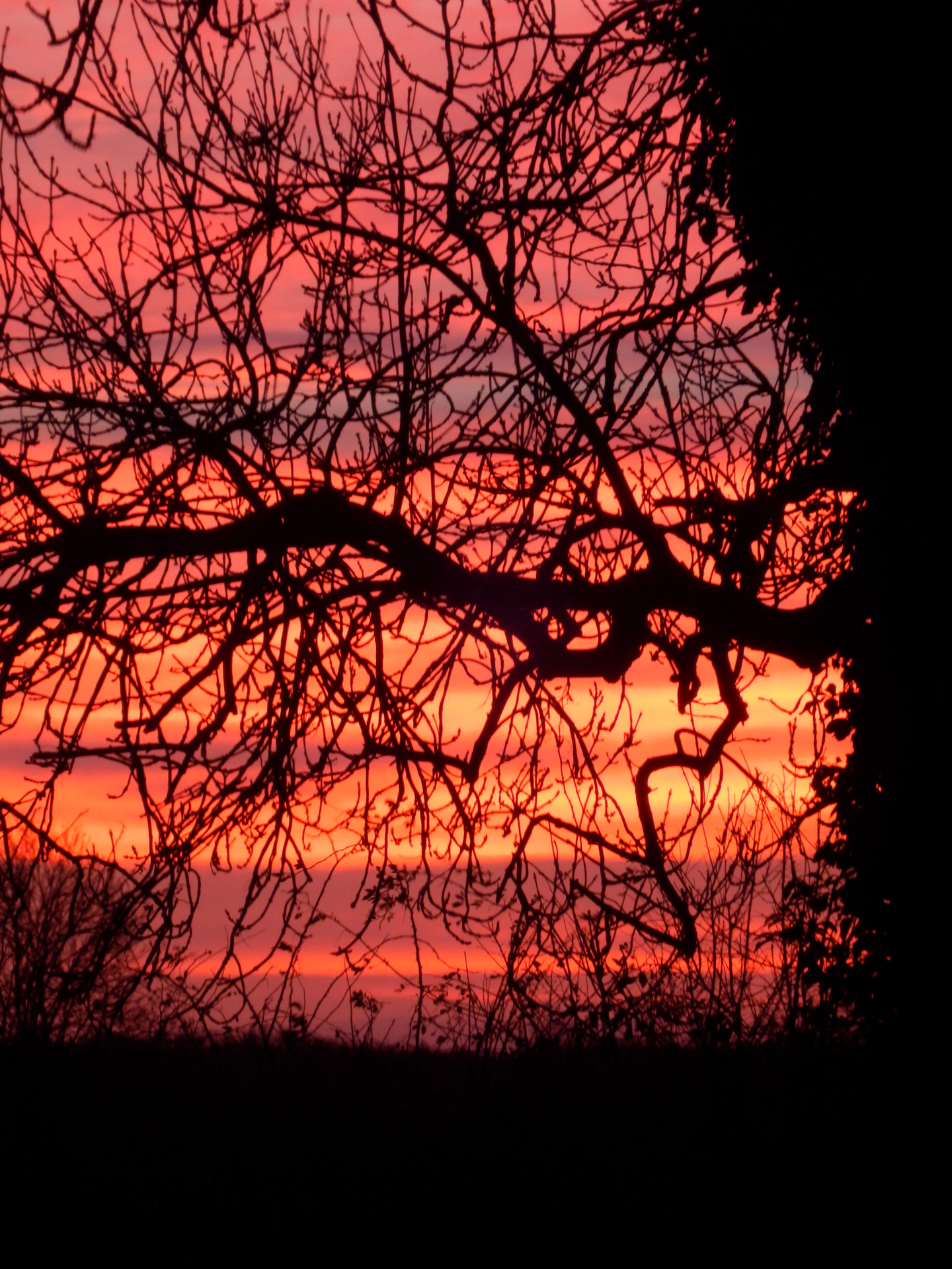 sunrise dawn silhouette free photo