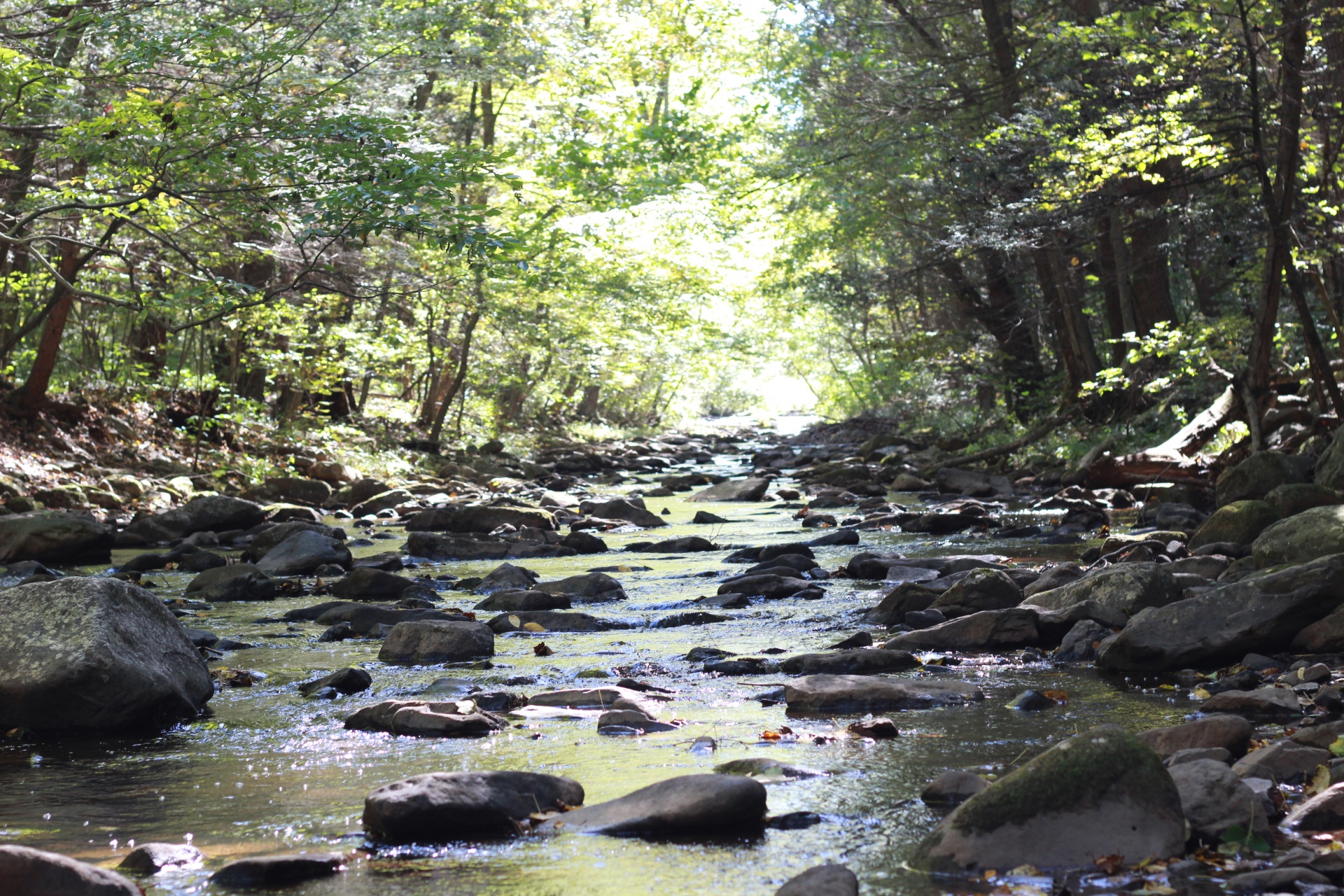 mountain stream water free photo