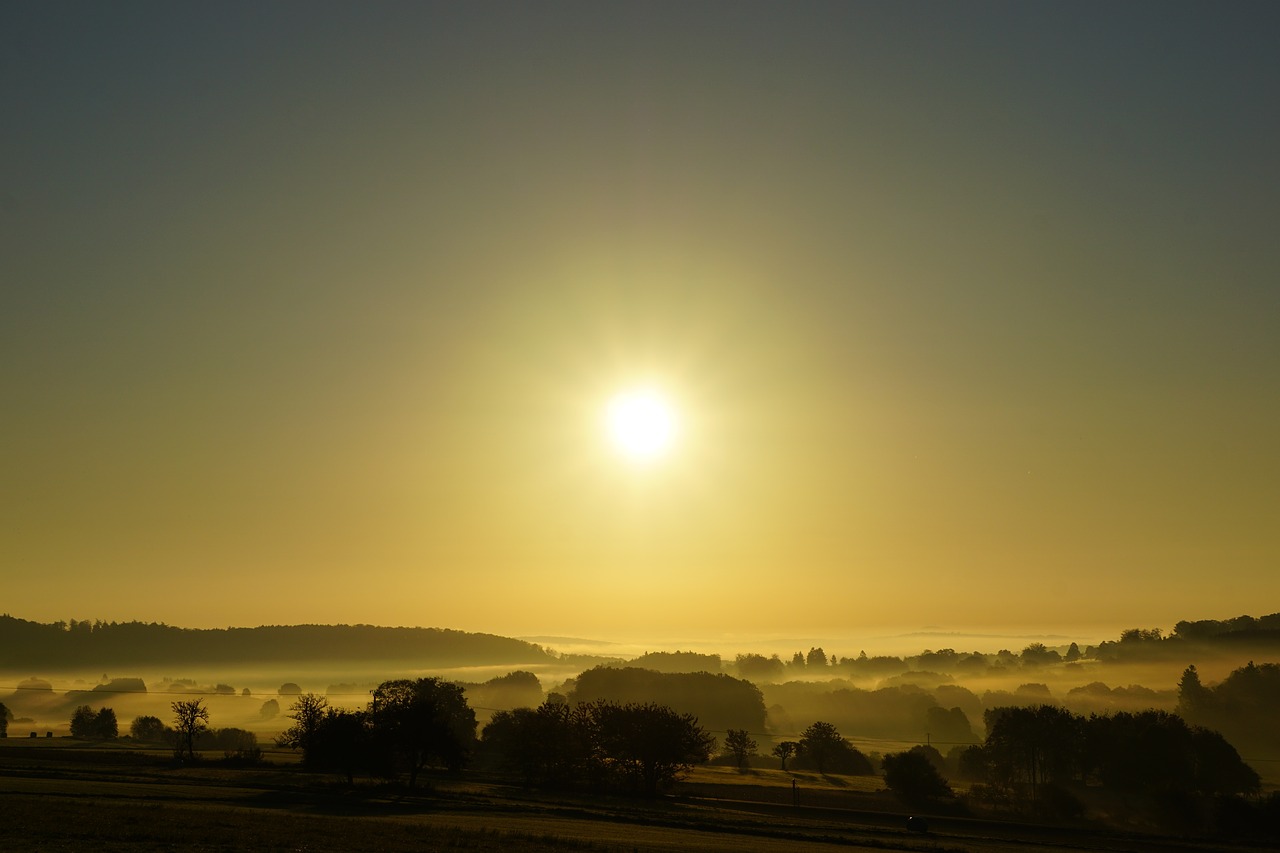 morning sun landscape fog free photo