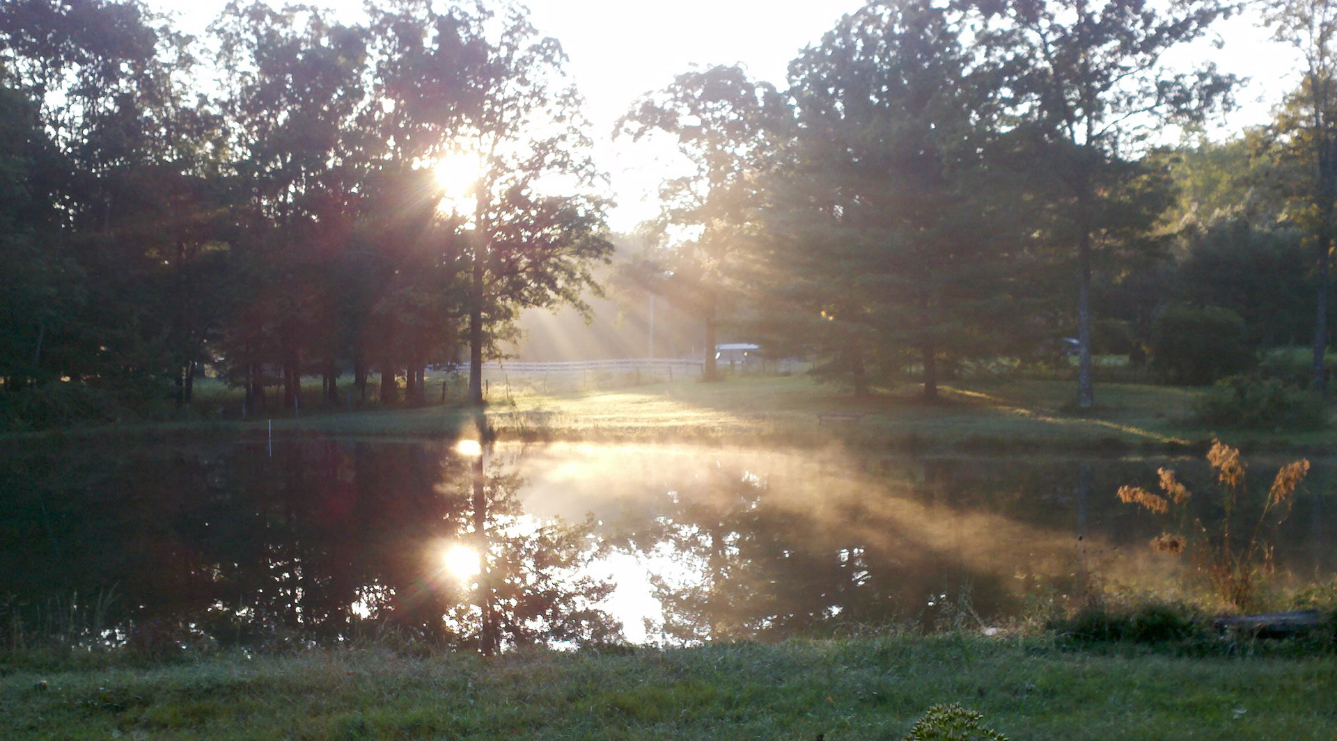 sunrise pond morning sunrise free photo