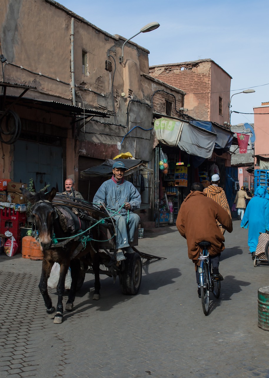 morocco moroccan medina free photo