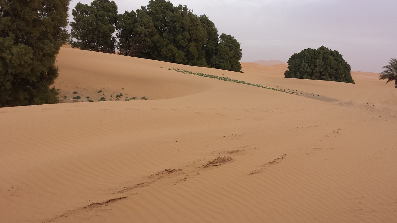 morocco desert sand free photo