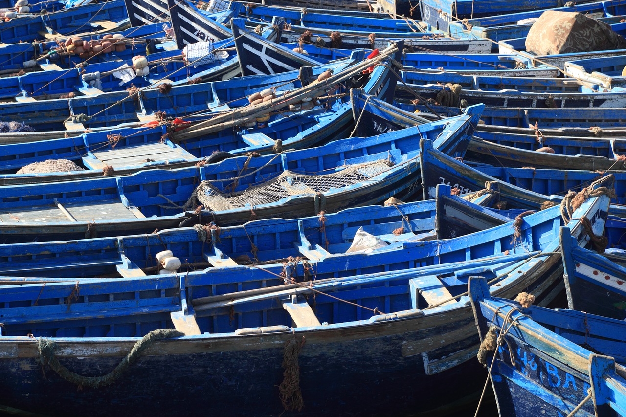 morocco essaouira fishing free photo