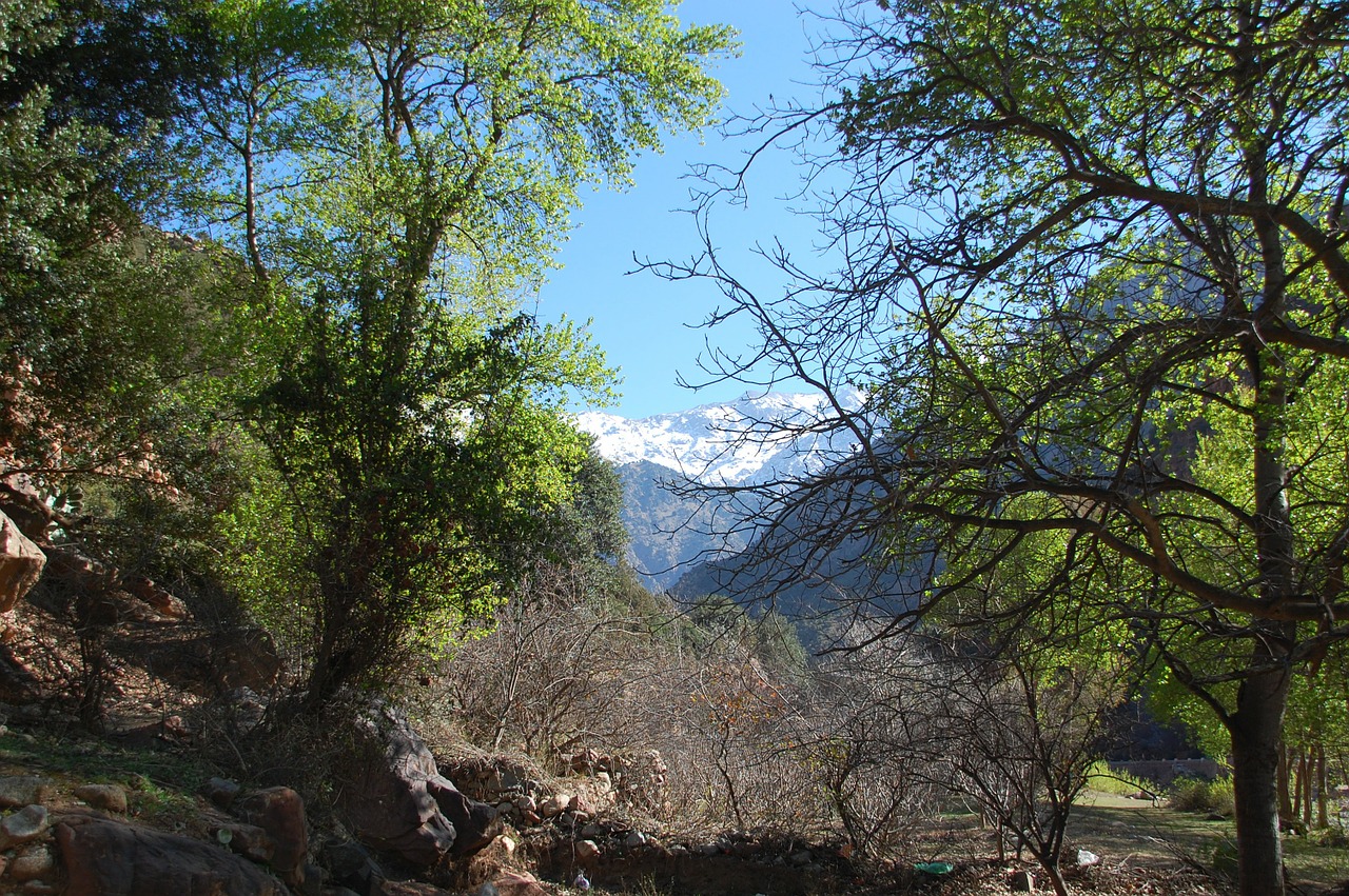 morocco landscape africa free photo