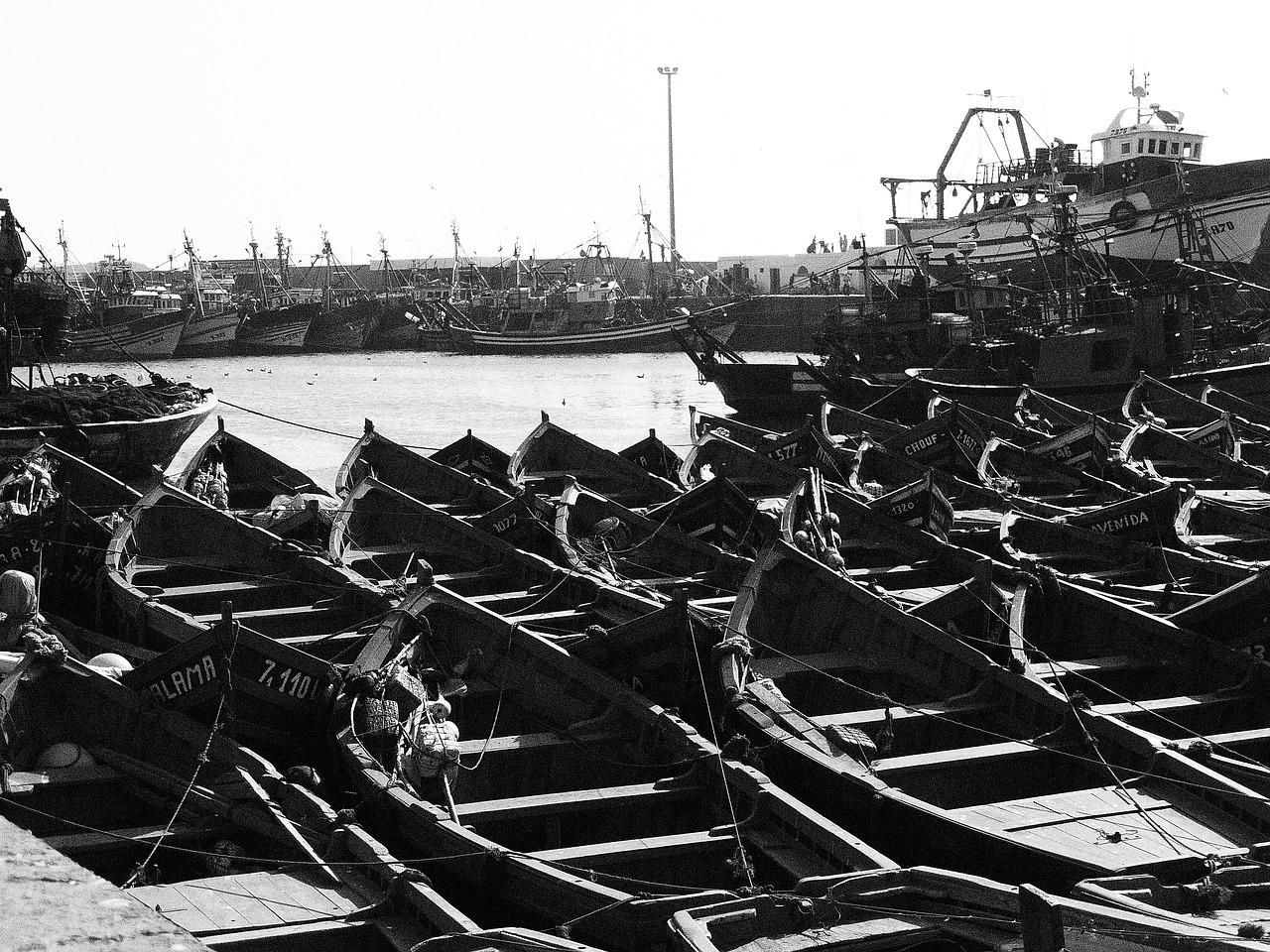 morocco port boats free photo