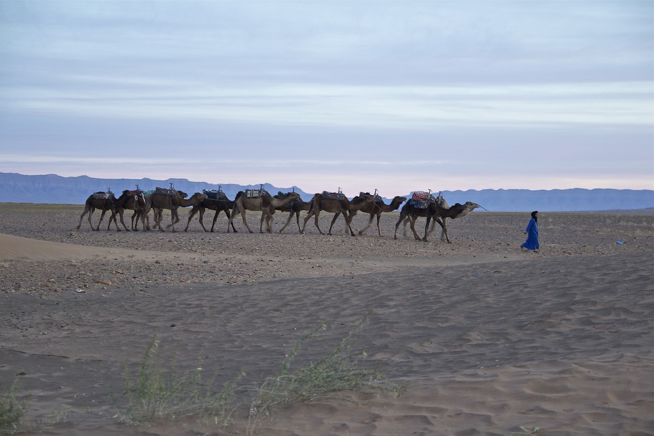 morocco desert nature free photo