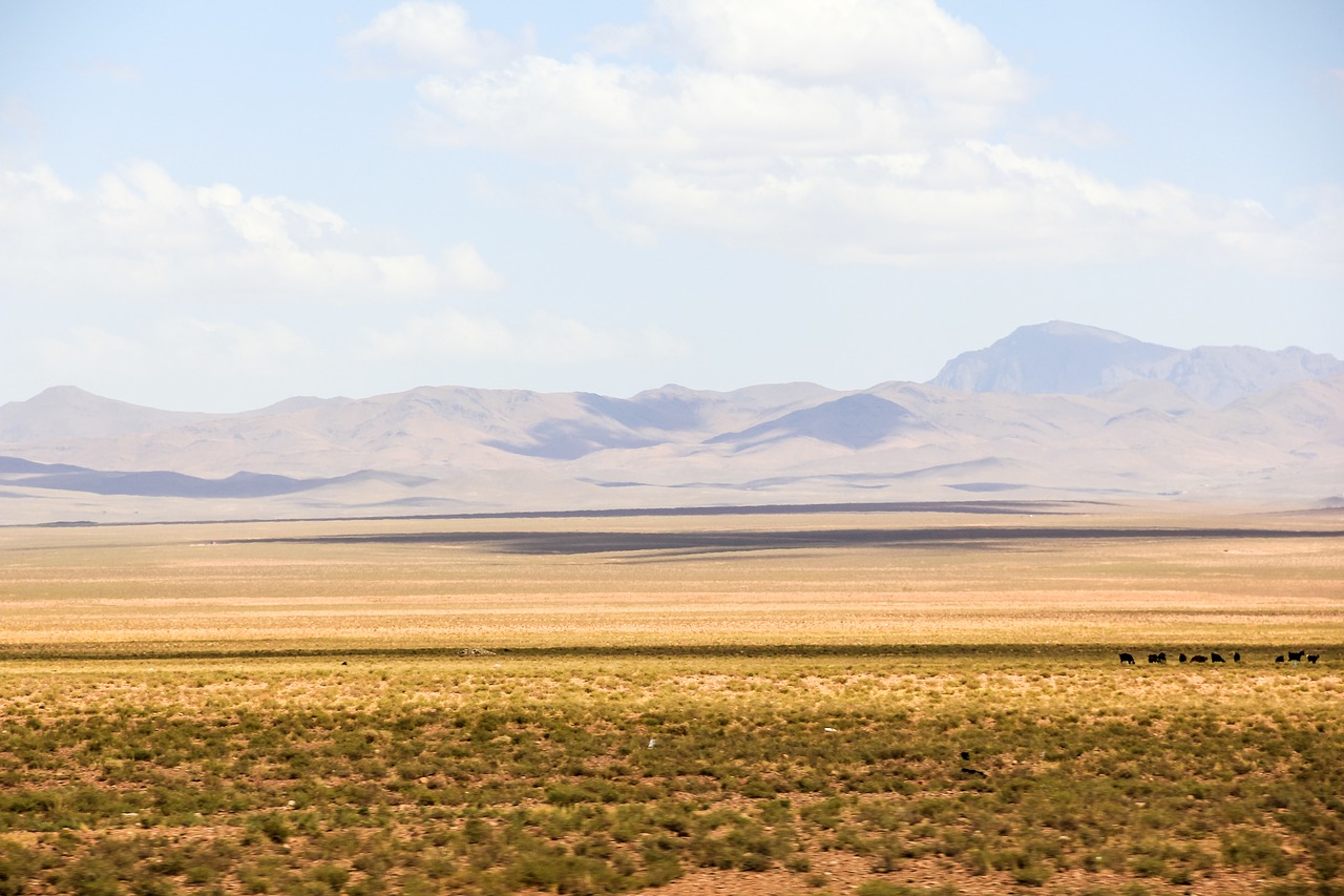 morocco desert landscape free photo