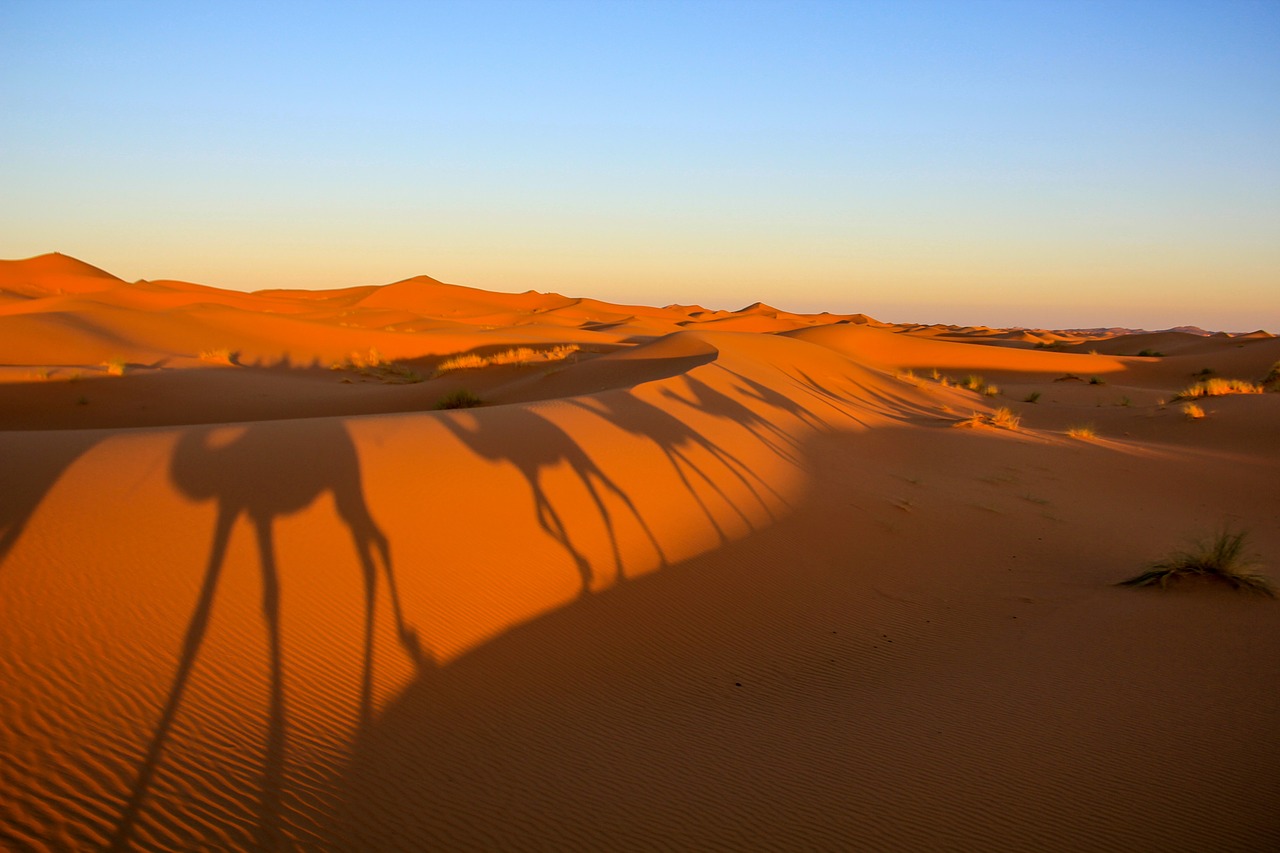 morocco desert shadows free photo