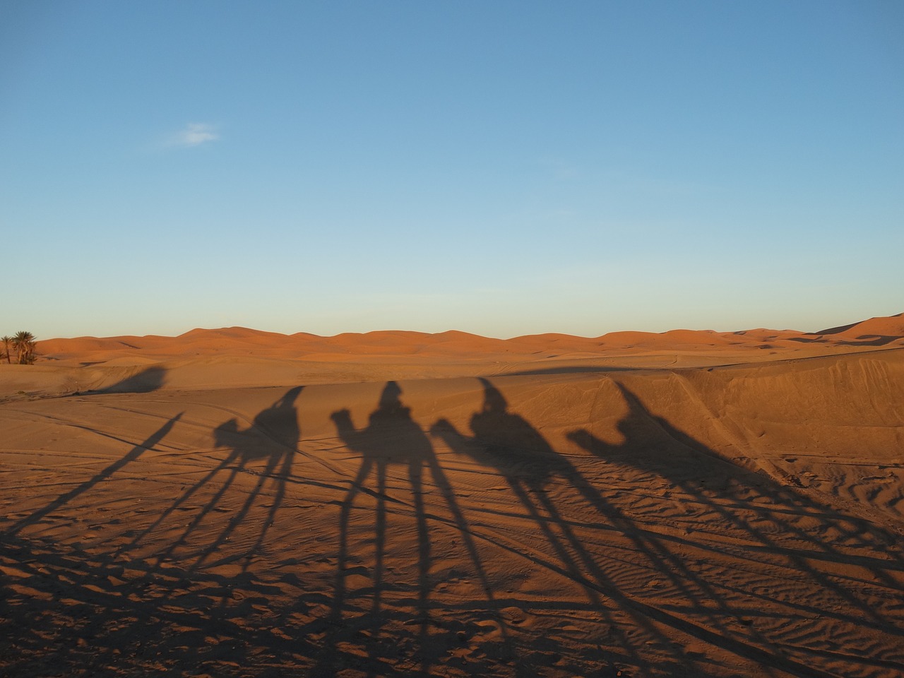 morocco desert sand free photo