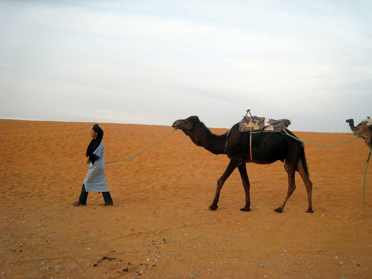 morocco sahara desert free photo