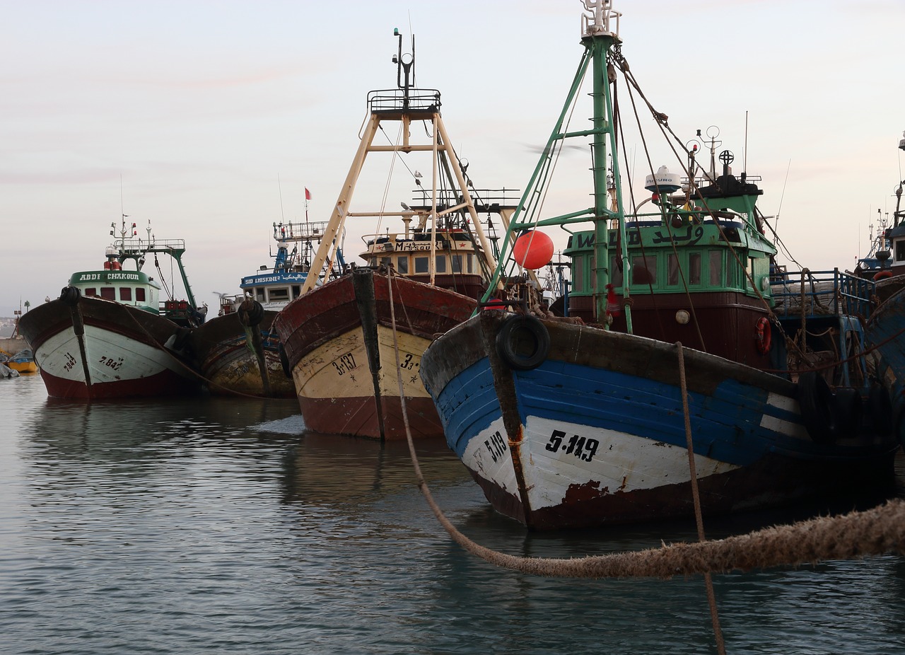 morocco  essaouira  harbor free photo