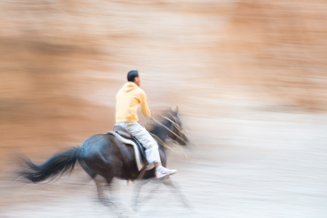 morocco sahara horse free photo