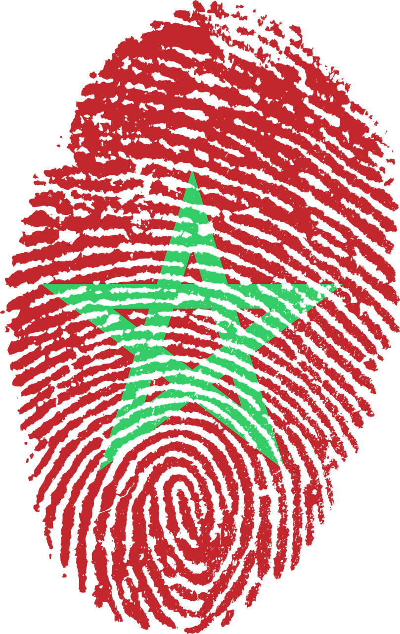 morocco flag fingerprint free photo