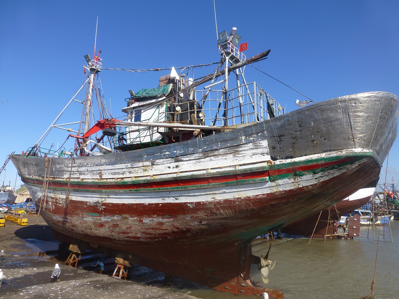 morocco fishing port ocean free photo