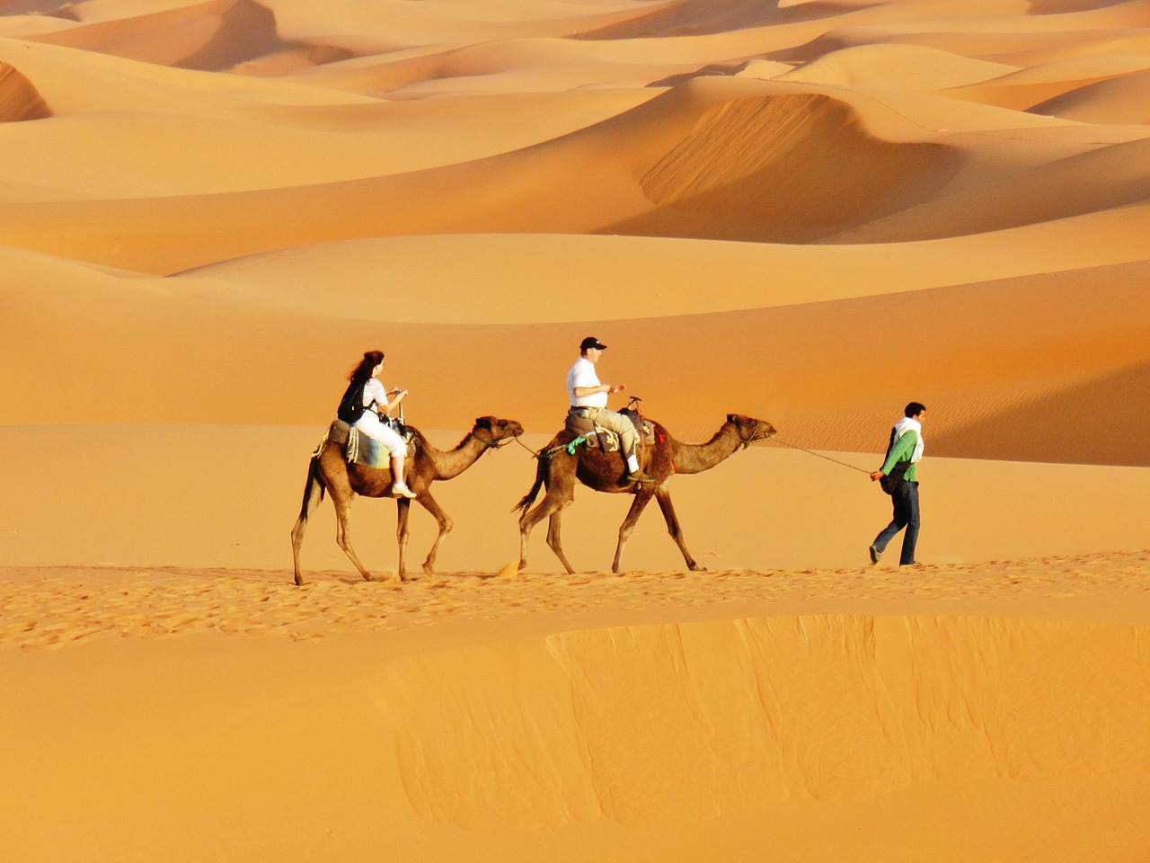 morocco desert dunes free photo