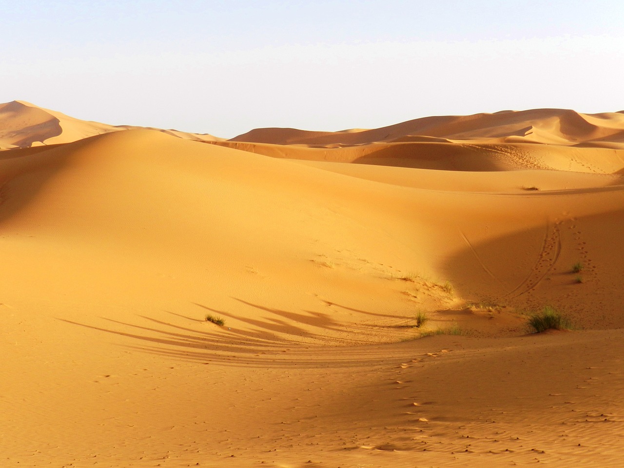 morocco desert dunes free photo