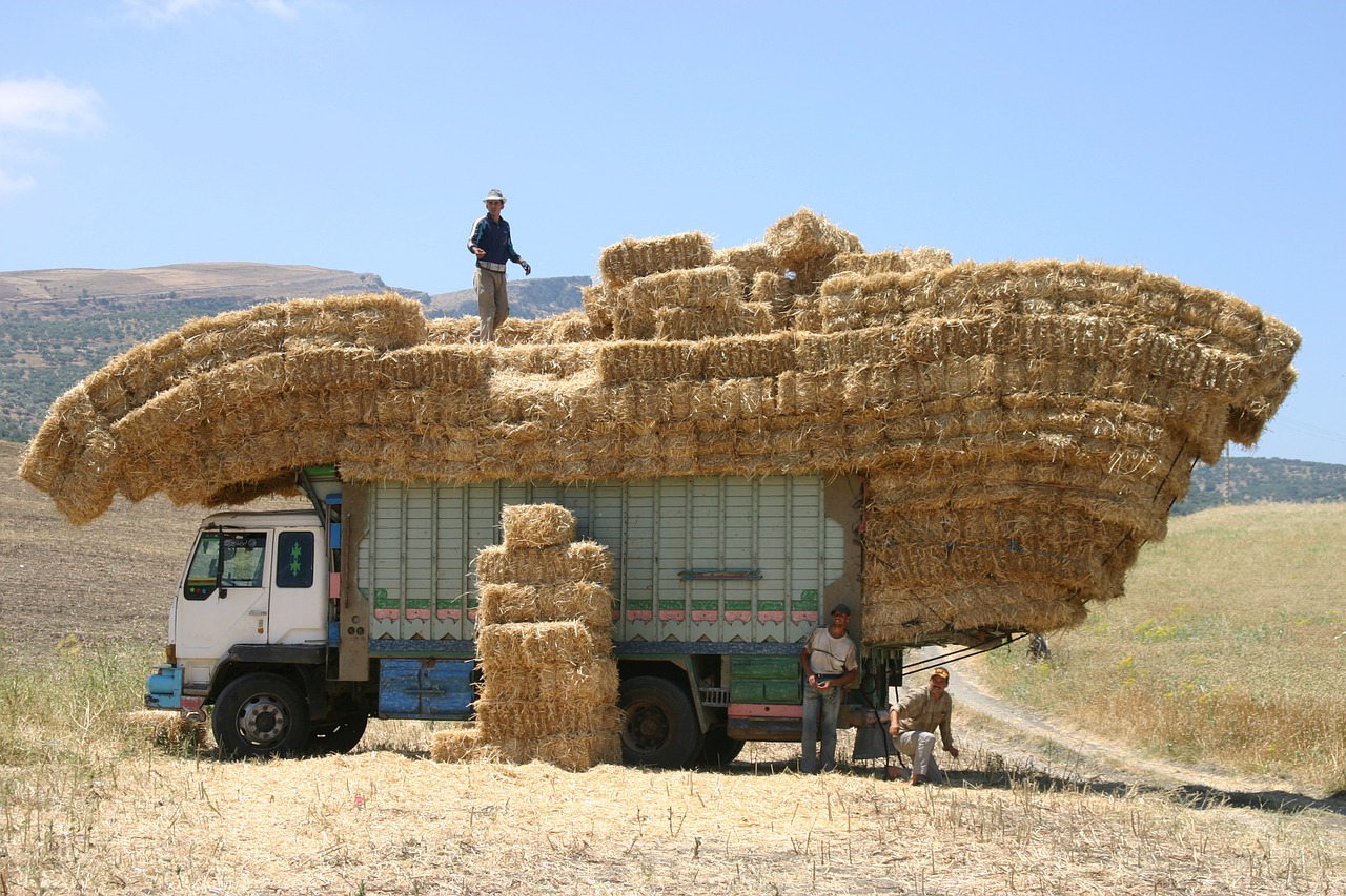 morocco truck hay free photo