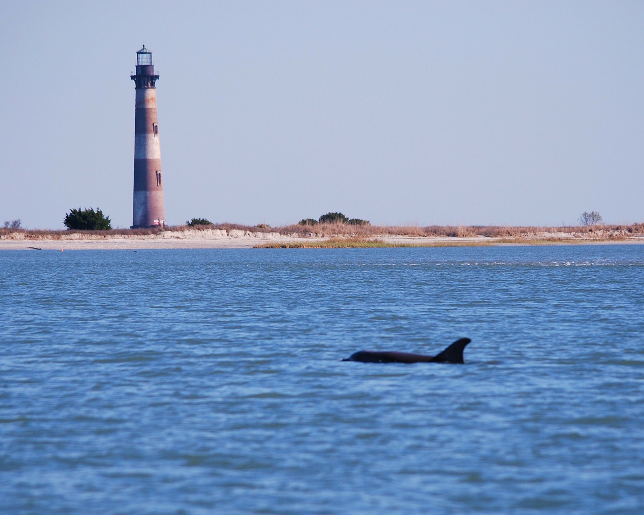 morris island dolphin lighthouse free photo
