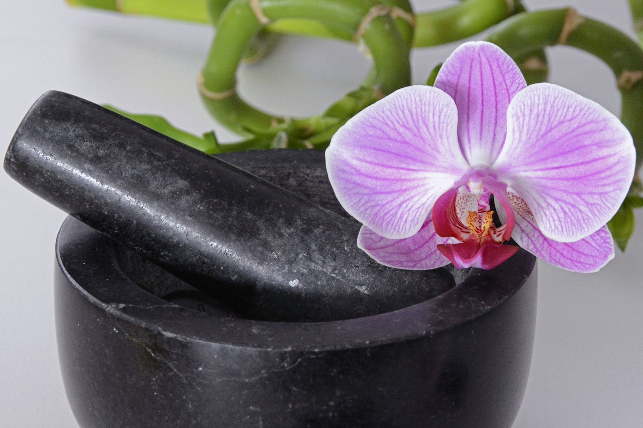 mortar tappet orchid free photo