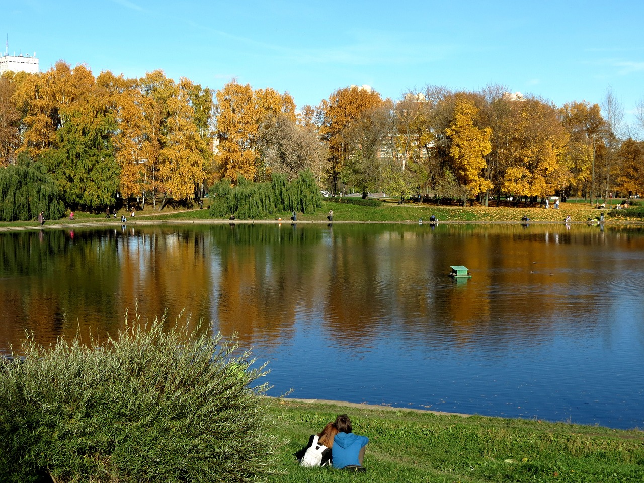 moscow nature autumn free photo