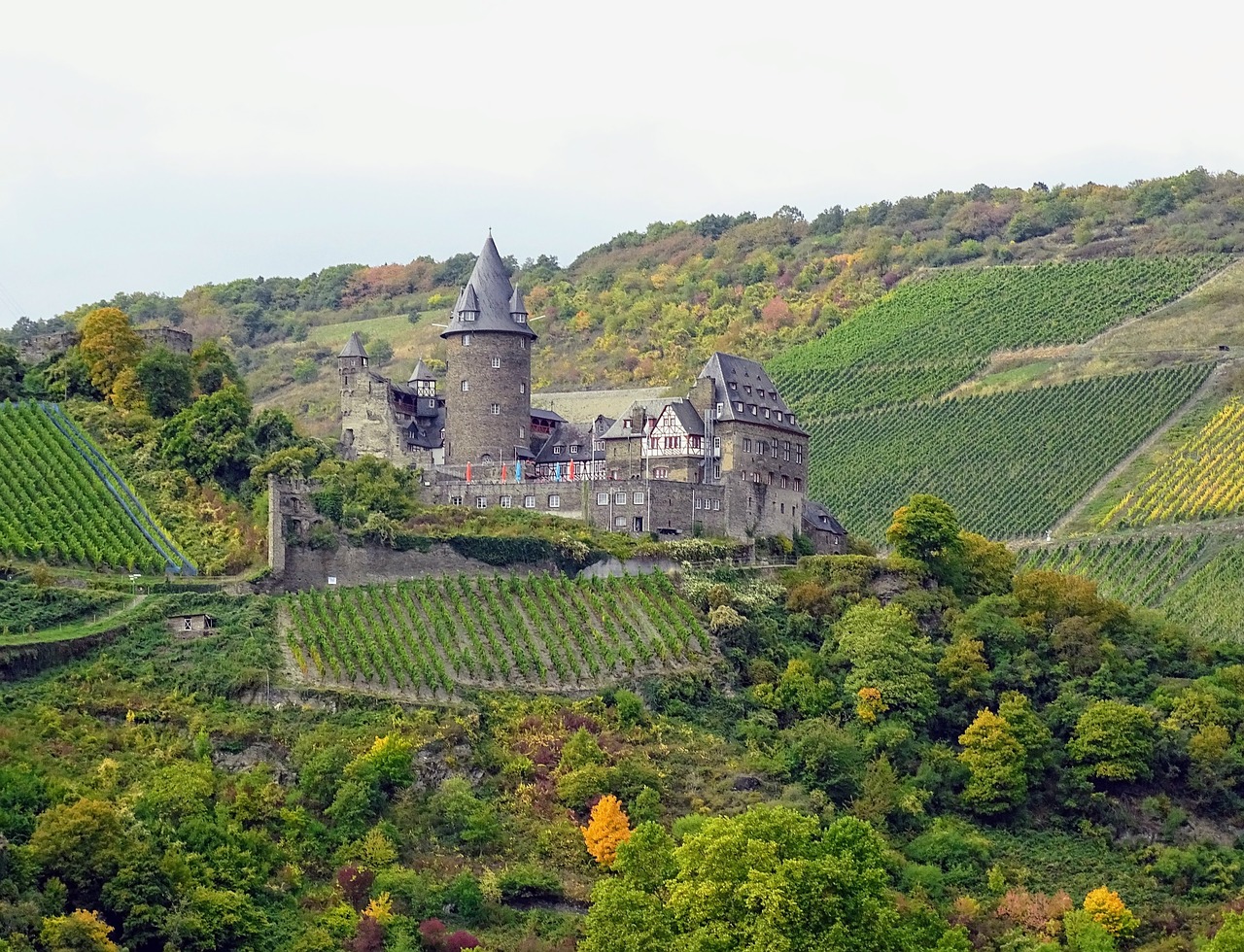 mosel castle vineyards free photo