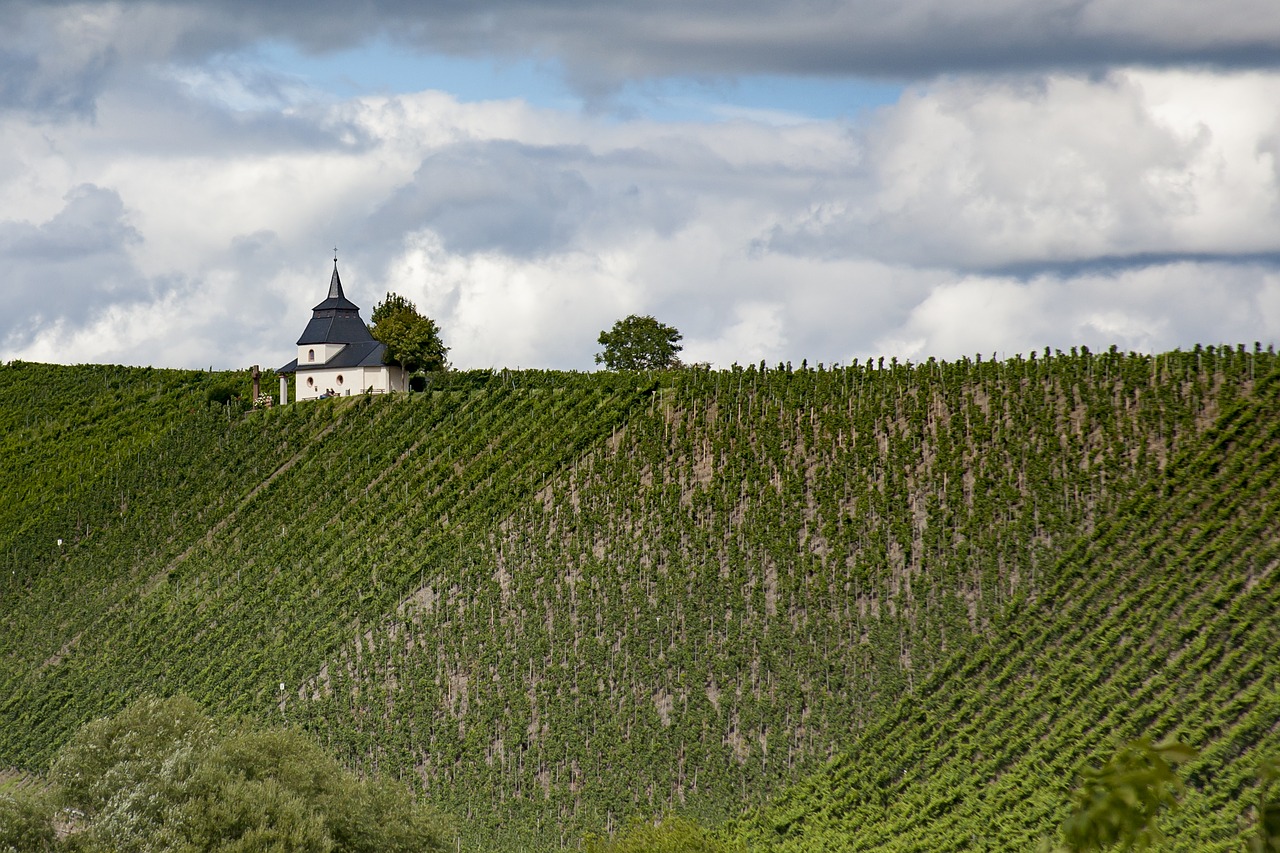 mosel vineyards chapel free photo