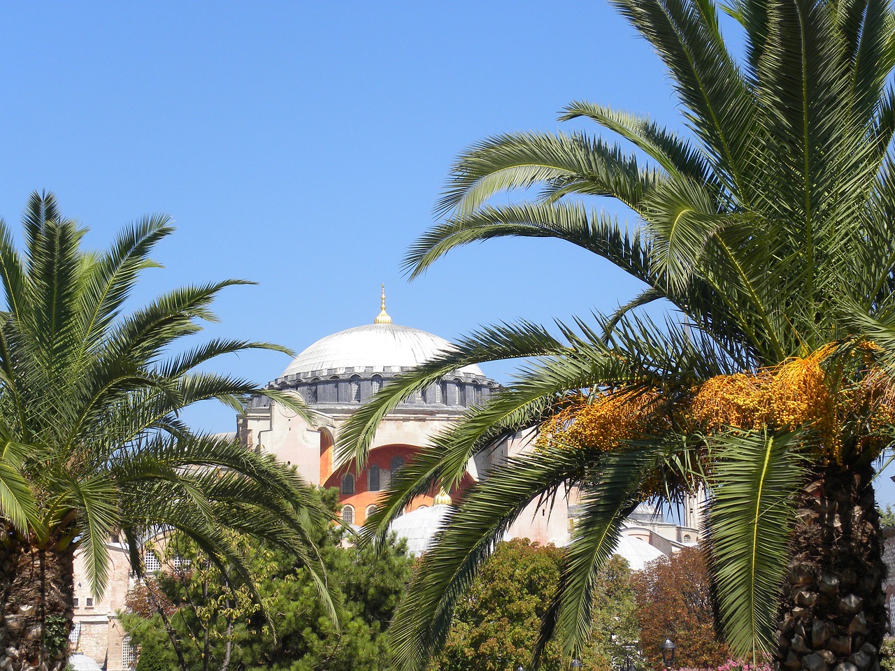 mosque istanbul turkey free photo