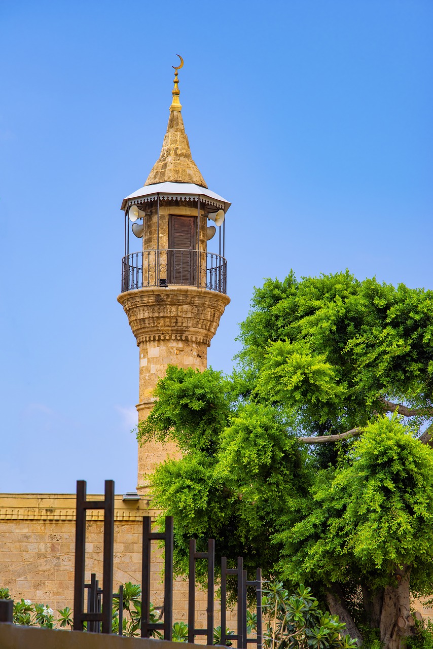 mosque  minaret  religion free photo