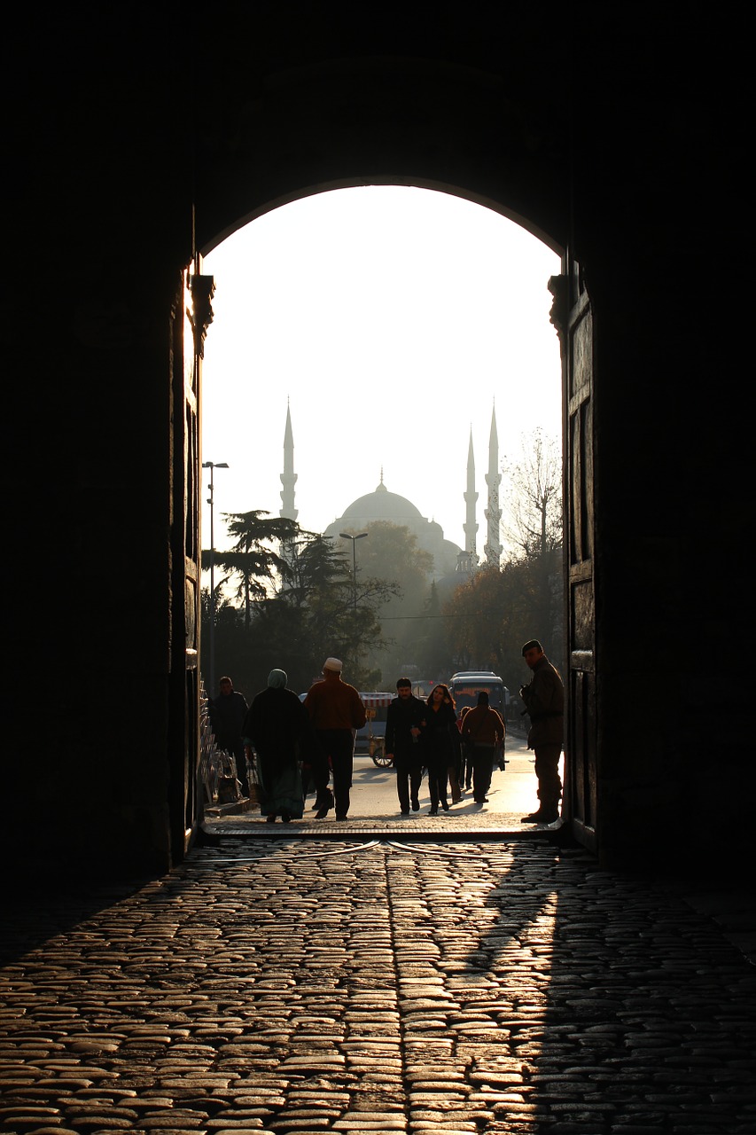 mosque istanbul door free photo
